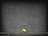 init_shiny_reflection.edj